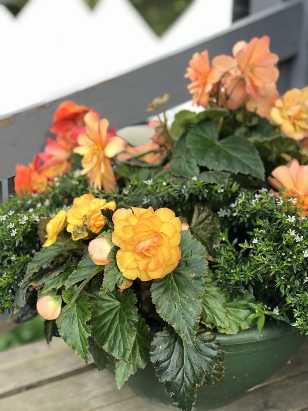 Common Pitfall to Avoid