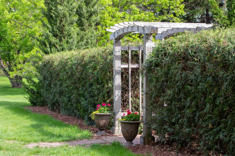Colorful Bougainvillea Arch
