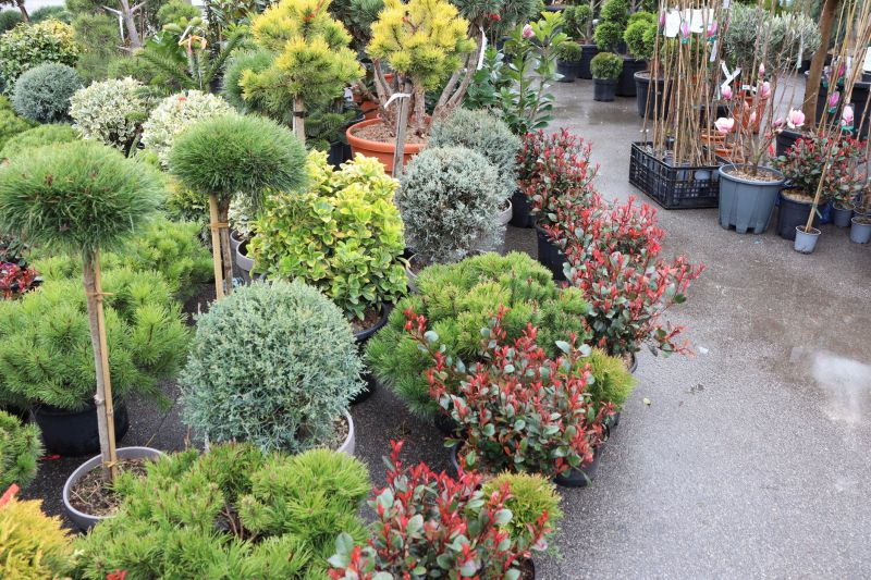 Greenery Planting in Honolulu, HI