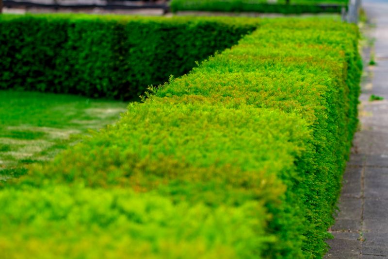 Pathway Landscaping in Ventura County, CA