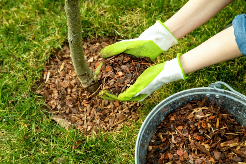 Shredded Mulch Service in Honolulu, HI