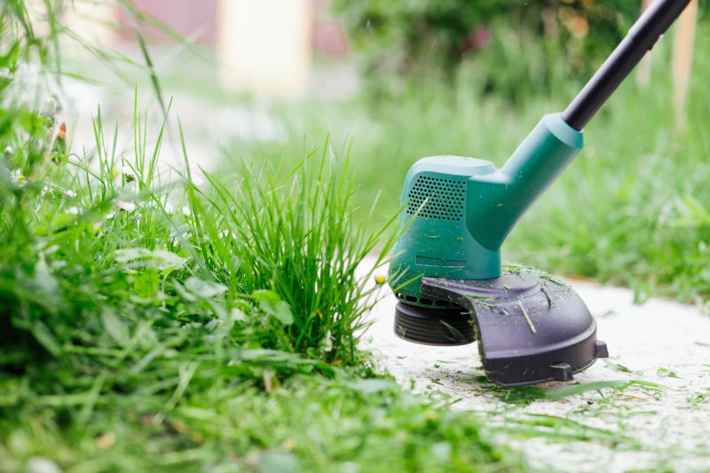 Tree Edging Installation in Honolulu, HI
